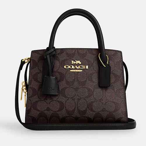 COACH Andrea Carryall Bag In Signature Canvas