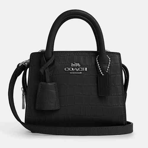 COACH  Andrea Mini Carryall